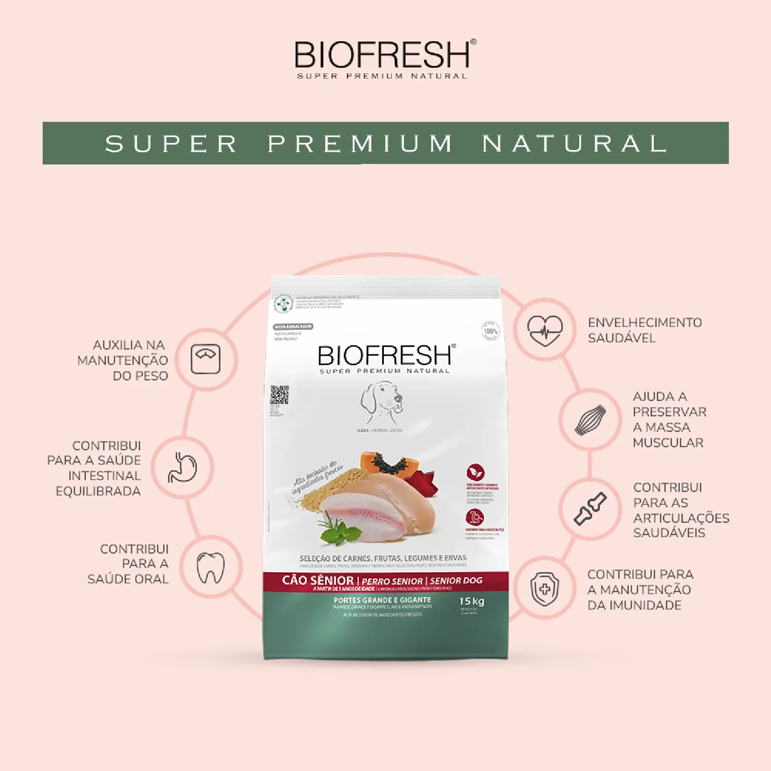 Racao Biofresh Caes Senior Racas Grandes e Gigantes-01